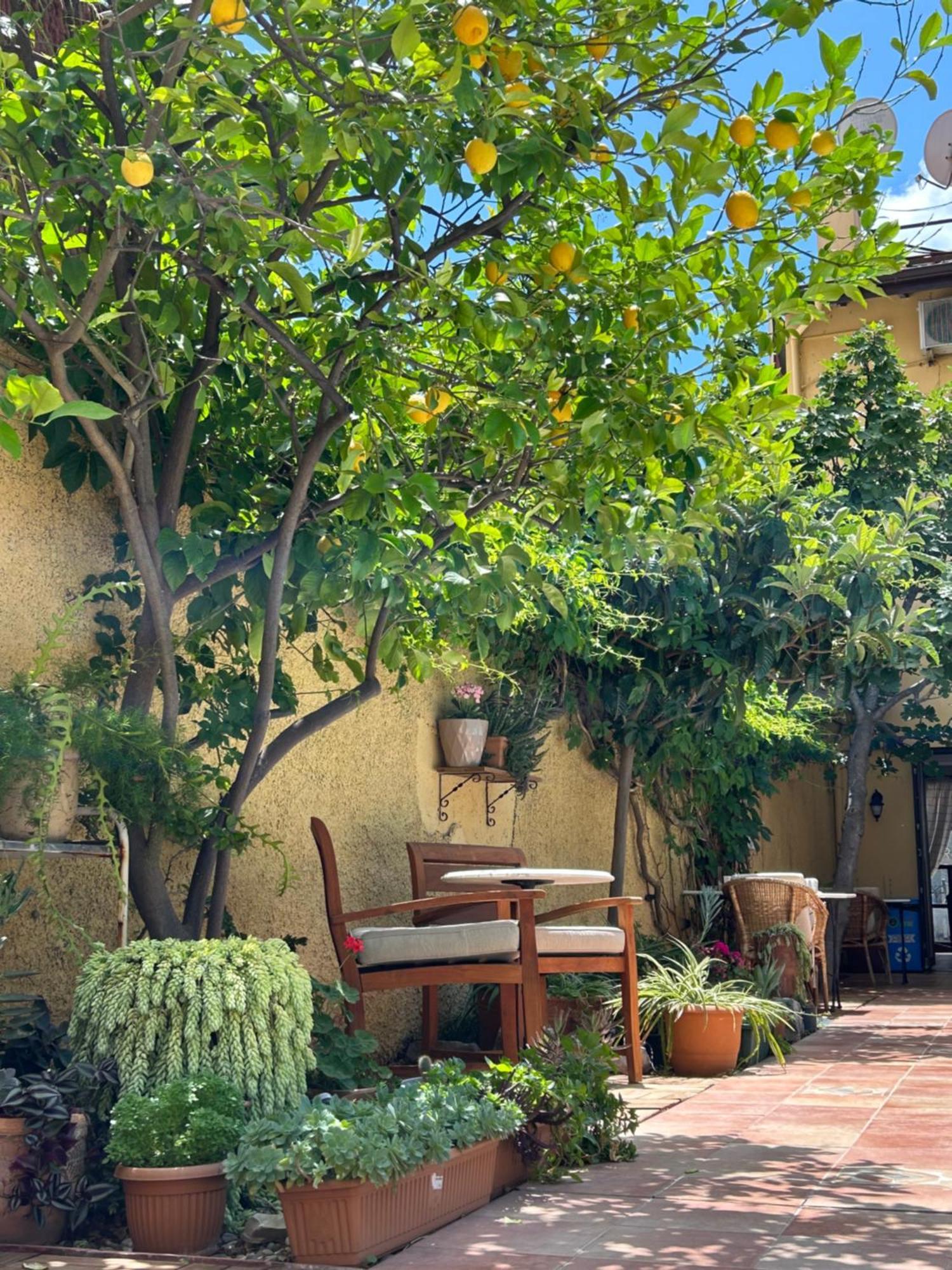Villa Danlin Hotel Гёчек Экстерьер фото