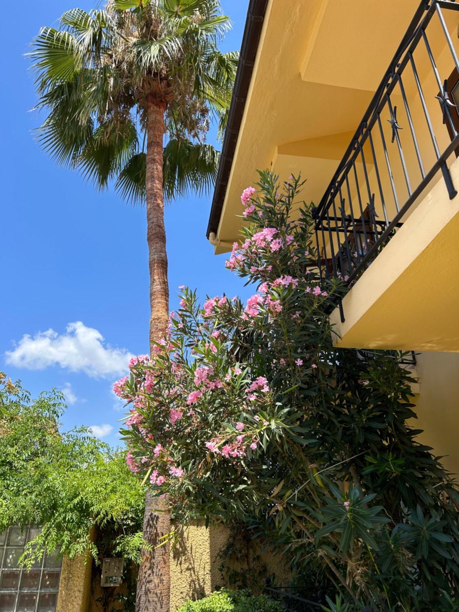 Villa Danlin Hotel Гёчек Экстерьер фото