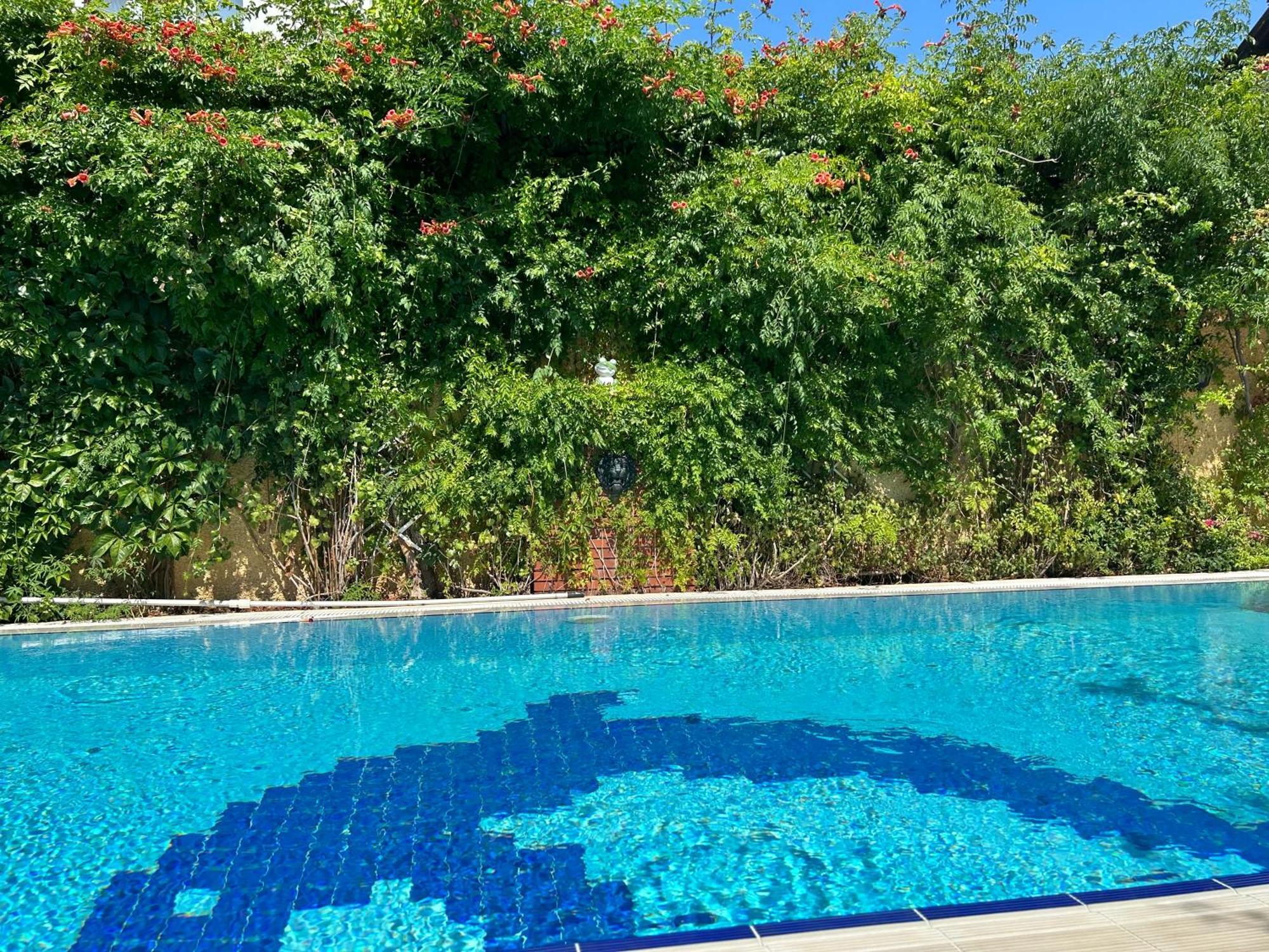 Villa Danlin Hotel Гёчек Экстерьер фото